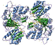 NADPH P450 reductase, PDB entry 1AMO