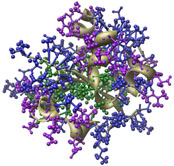 cytochrome b5, PDB entry 1B5M