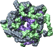 Putative cyanogenic BGLU from rice, AL2TS prediction