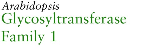 Family 1 Glycosyltransferases