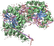 GtfB, PDB entry 1IIR