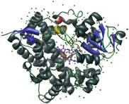 CYP3A4, PDB entry 1TQN